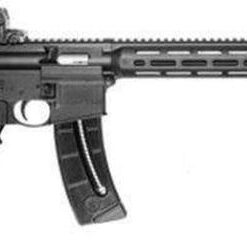 Smith & Wesson M&P 15-22 Sport Rifle