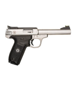 Smith & Wesson SW22 Victory