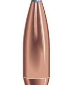 SPEER 308 165GR BOAT TAIL 100PK