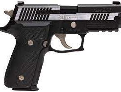 Sig Sauer P229 Equinox