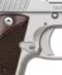 Kimber Micro 9 Stainless
